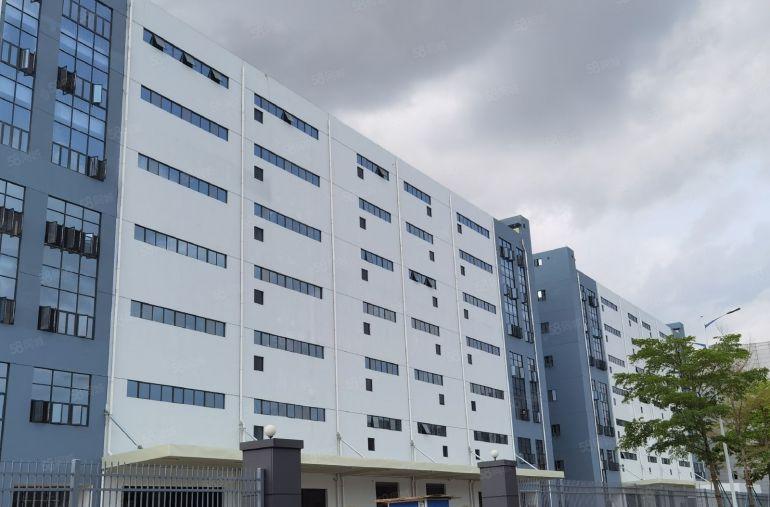 合同10年原房东红本标准物流仓库出租32000平光明高速出口