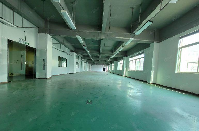 光明电子厂出租200平起分原房东带红本一楼厂房仓库出租电商园