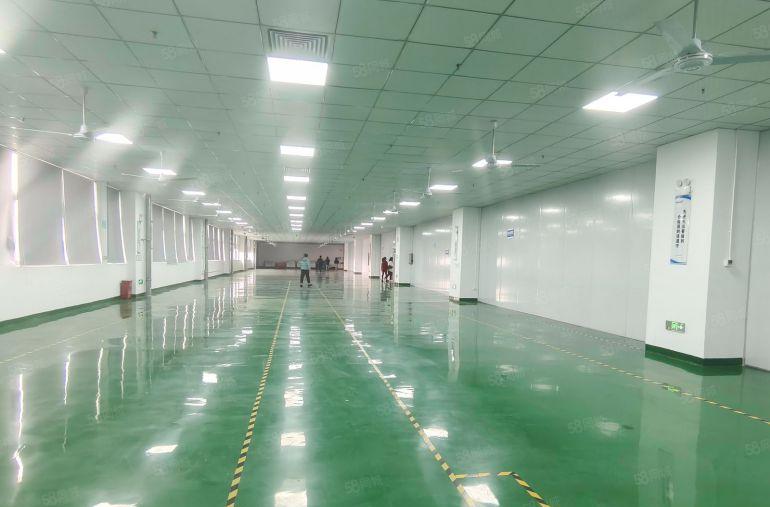 光明高新产业园5000平方大小分租园区形象好有补贴地铁口附近