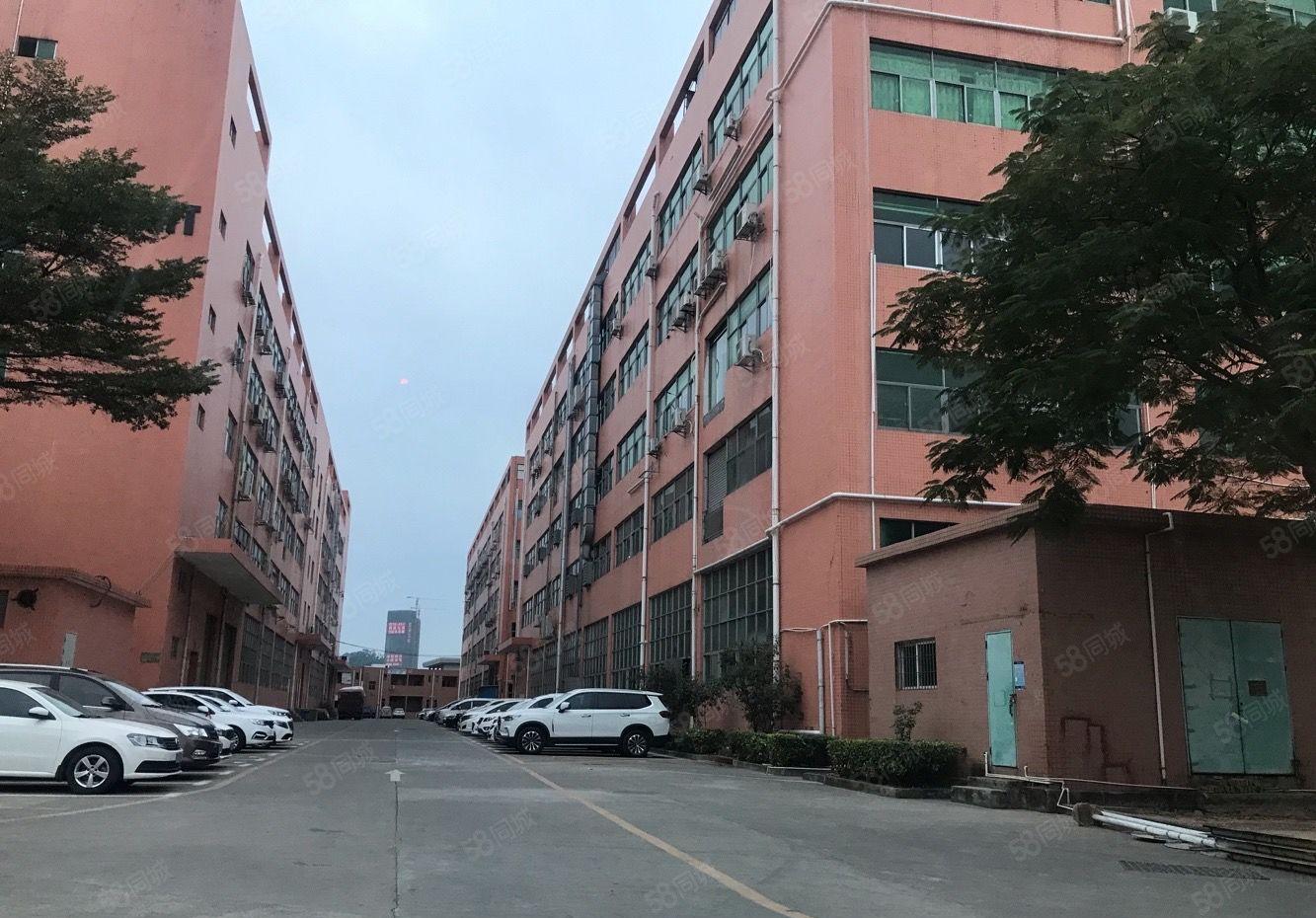 光明村委厂房独院18000平厂房仓库出租无公摊 合同长