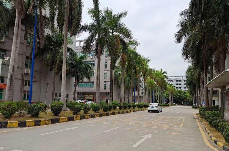 光明公明大型园区厂房出租，2200平（租金含税，水电可开票）