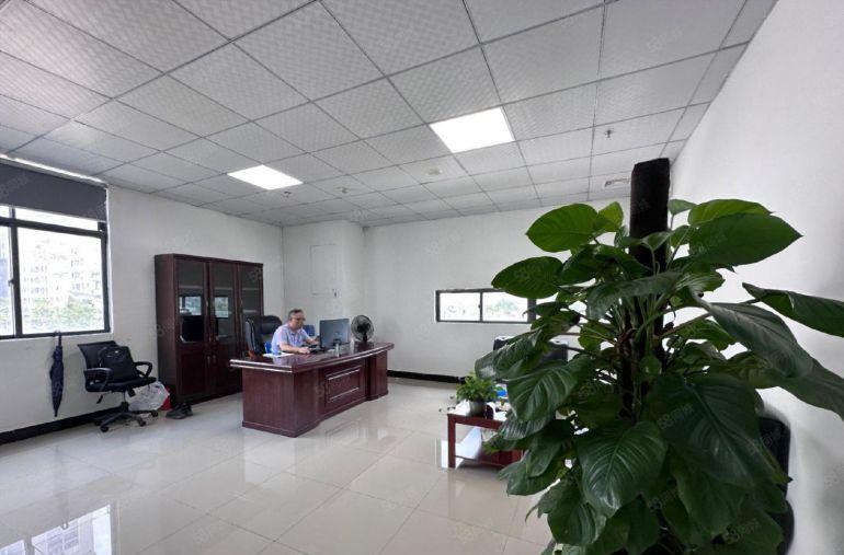 光明将石大型园区1400平精装厂房，无转让费，近龙大高速口