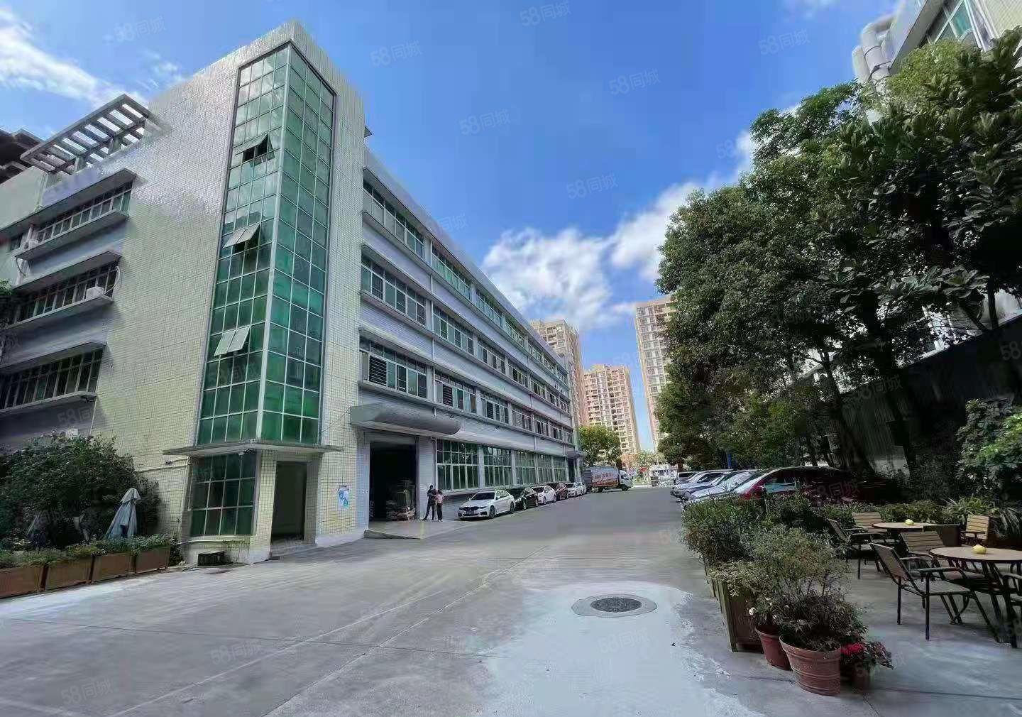 公明光明大道边上新出厂房独门独院13层6600平方交通便利