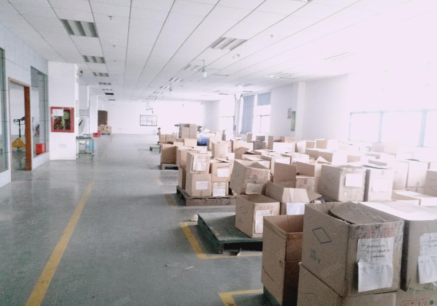 公明靠龙华，大浪，观澜（楼上1050平，有部分无尘车间）光明