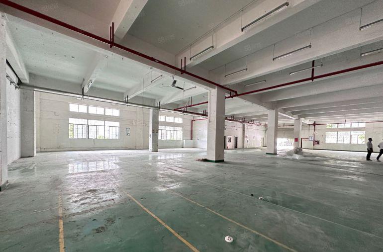 光明公明原房东厂房出租5000平 可办公研发 可仓储等行业