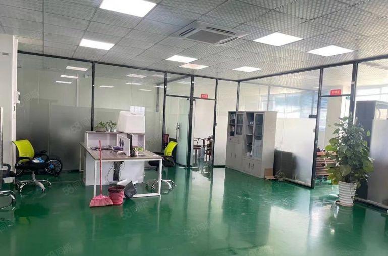 光明楼村原房东独院实际面积厂房出租10000平仓库招租可分租