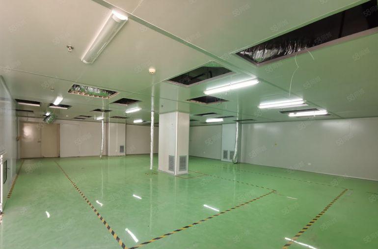 光明公明楼村500平原房东现成精装修无尘车间红本厂房仓库出租