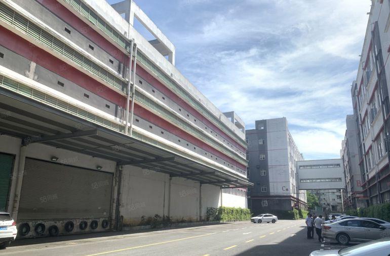 全年免租光明中心地段新出13万平高新红本园区100平起分租