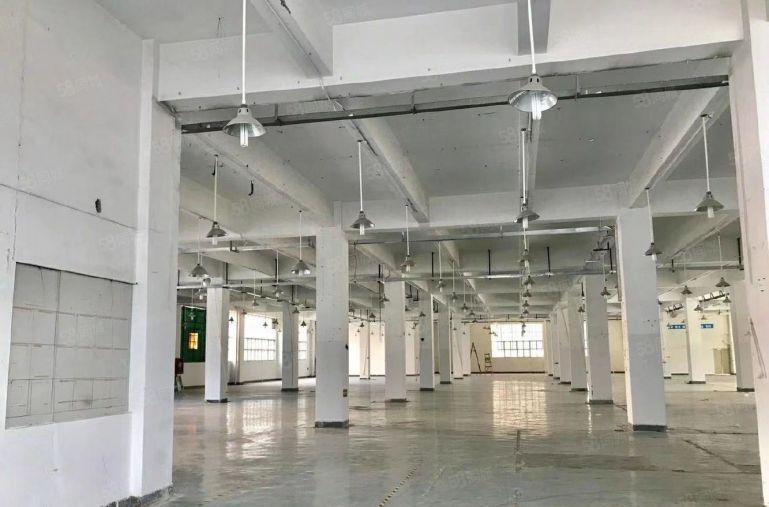 光明长兴科技园旁原房东总面积3.1万平红本厂房可分租低价出租