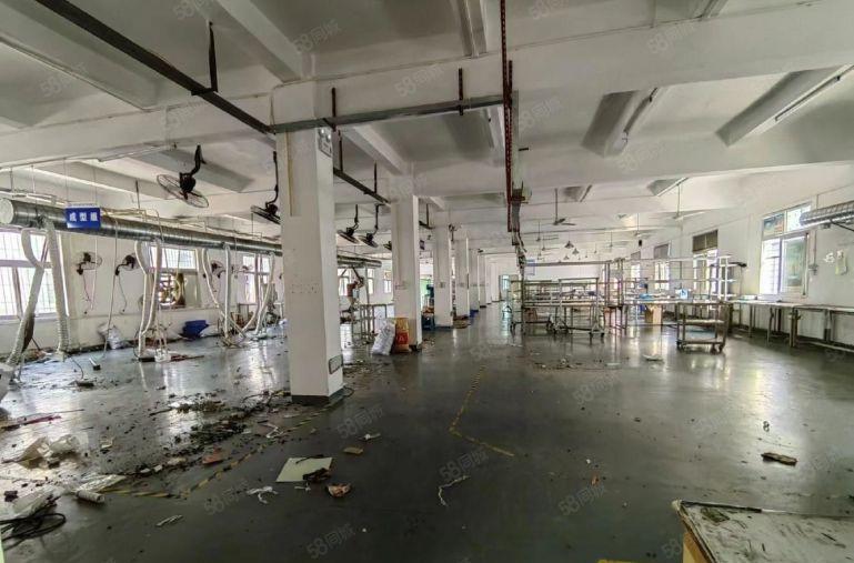 光明红星独门独院厂房出租5000平方 大小可以分租 空地大