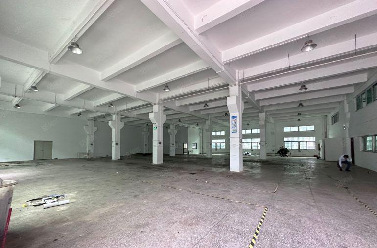 光明原房东独院5000平，无公摊，33含税，空地大