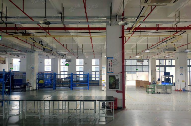 公明田寮高速路口红本原房东独院厂房8000平实际面面积可分租