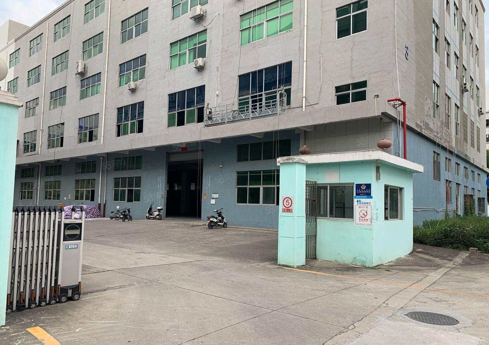 公明上村新出原房东厂房12层5000平方可分