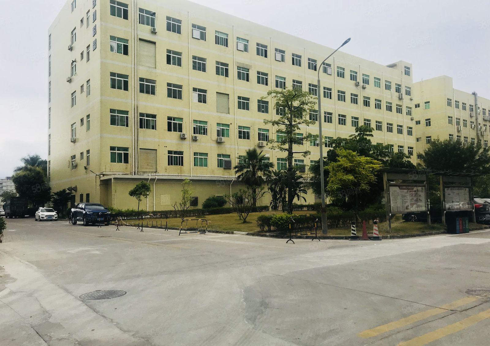 光明祥发声工业园带装修1000平厂房出租原房东仓库生产可分租