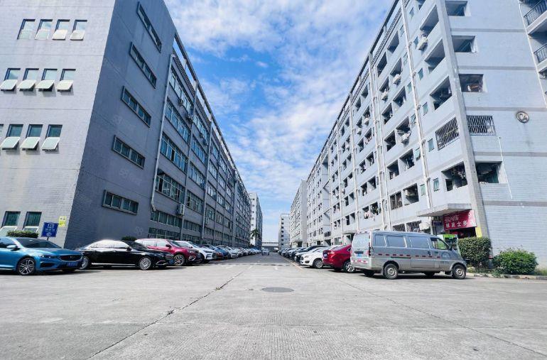 光明地铁口原房东独院一楼楼上300平起租精装办公厂房仓库出租