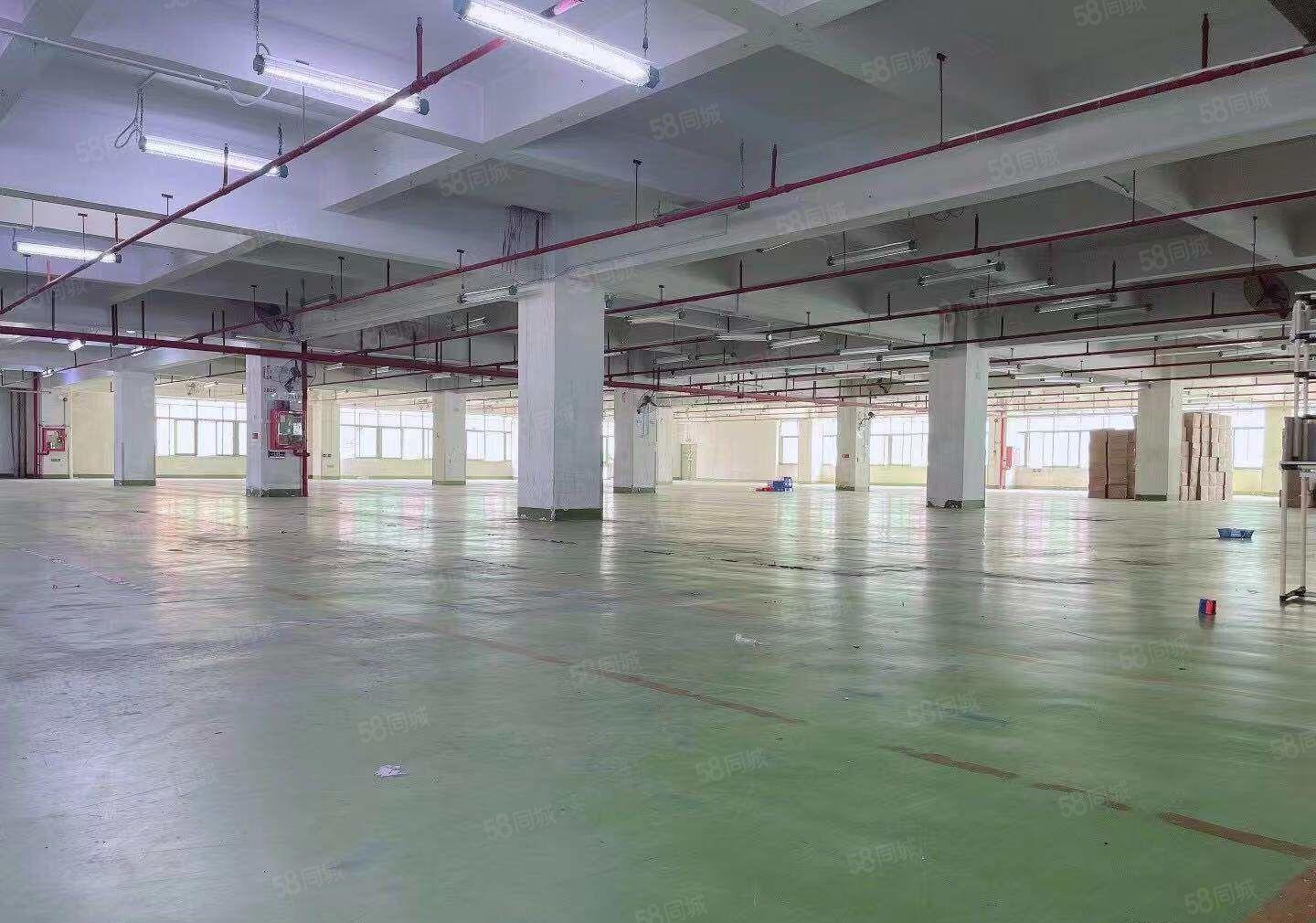 光明原房东9100平厂房，仓库，5吨货梯，卸货平台，中介无扰