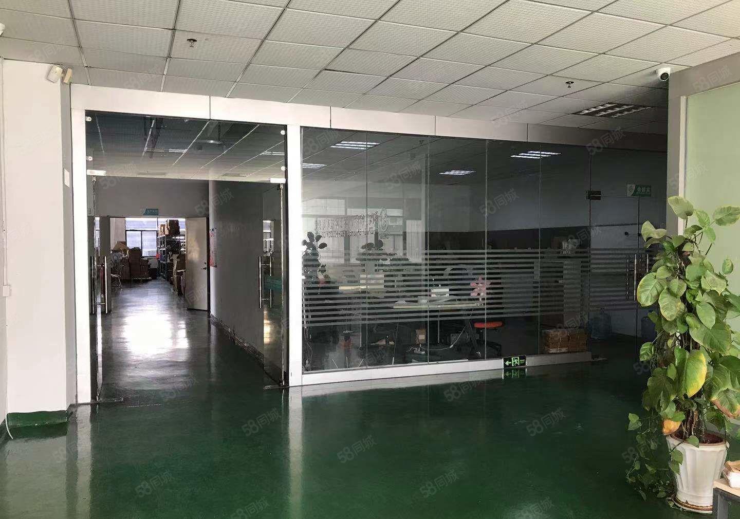 出租公明田寮高薪园（1800平，零公摊，带红本，原房东直租）