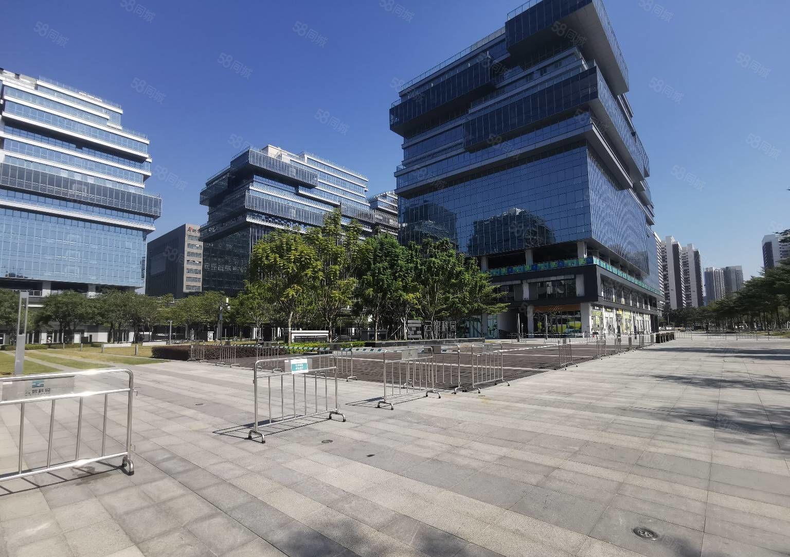 全年租金减半，光明高新红本厂房出租，政府项目补贴20元一平