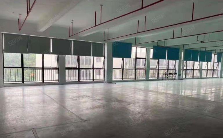 光明公明全新厂房，仓库出租500，1000，3000平好分租