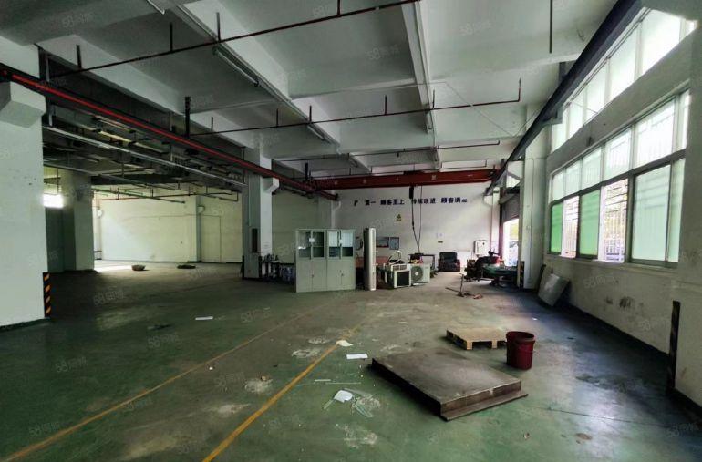 公明楼村精装一楼厂房出租1770平价格便宜30元全包，带行车