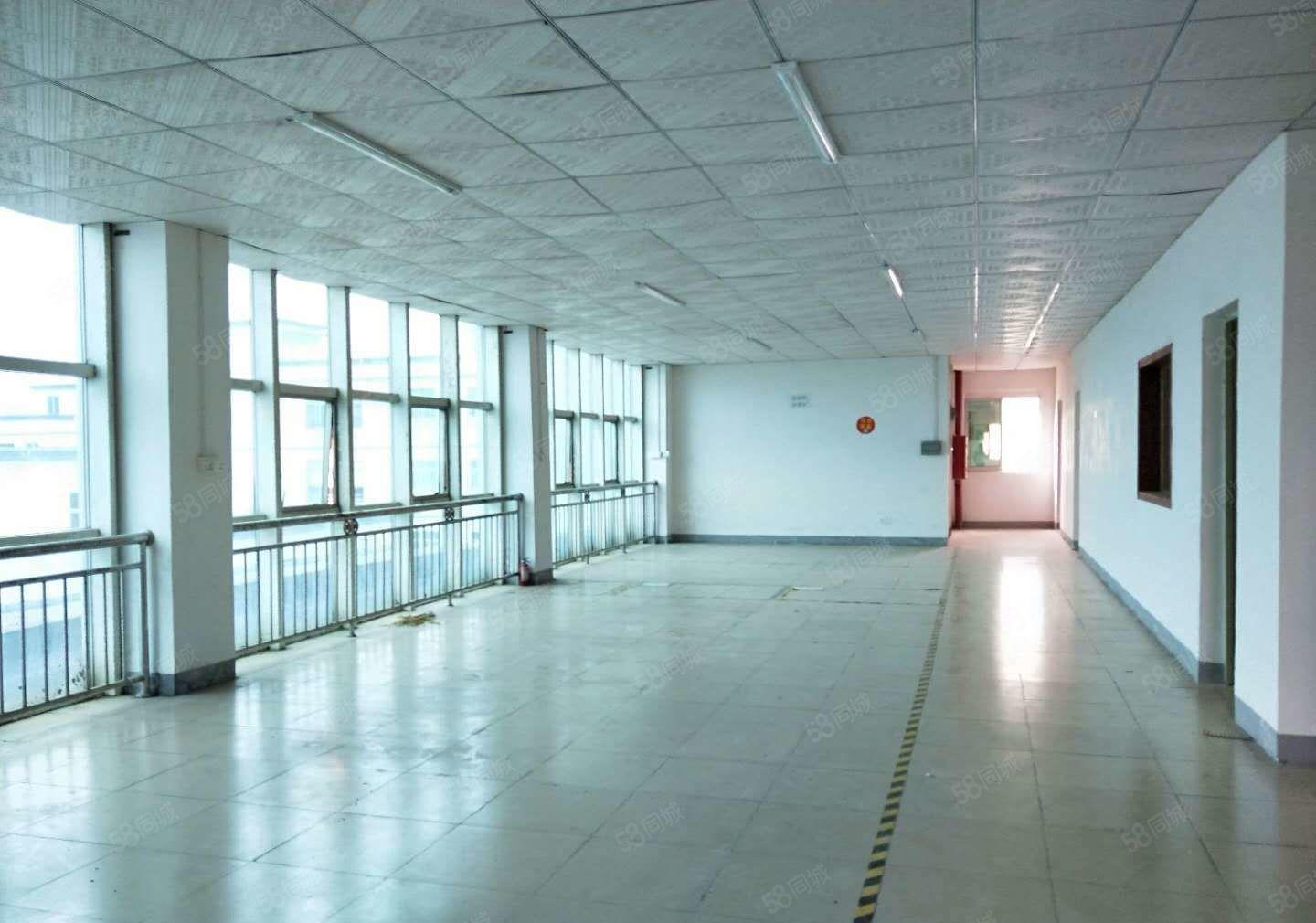 特价！18元全包500平一整层，适合电子，加工，数据线等光明