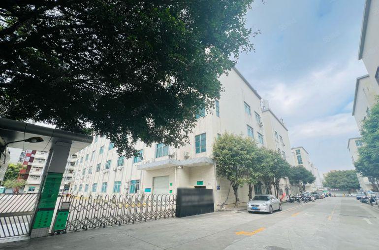 光明茨田埔带红本独院8500平米实际面积出租一楼6米高