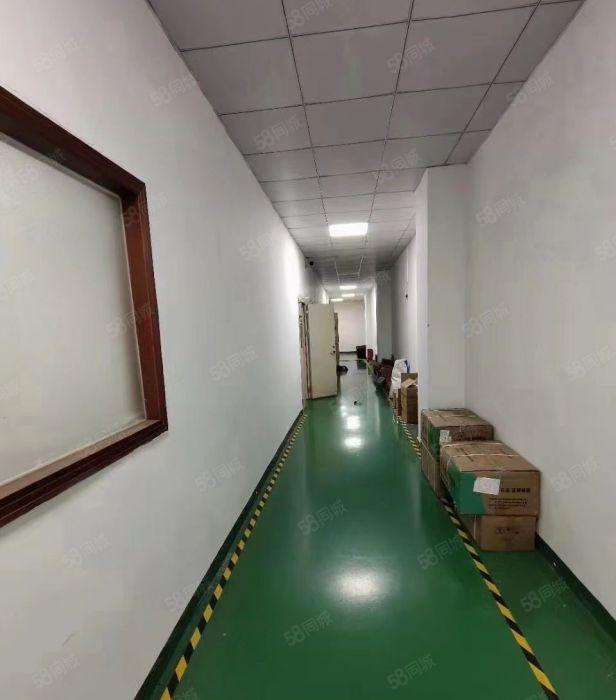 公明蒋石精装厂房（1050平，车间吊好顶，适合电子，LED）