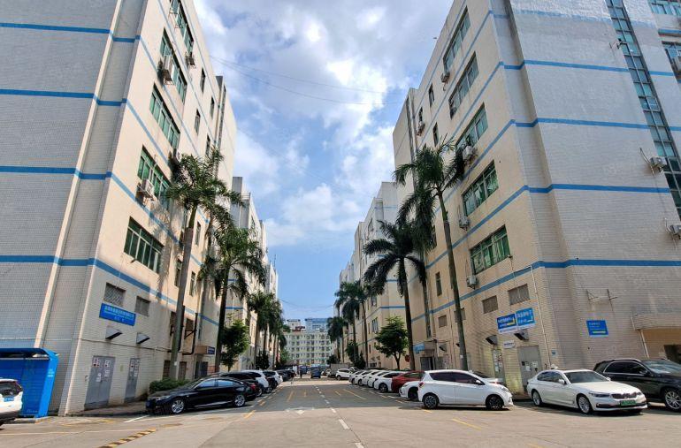 光明原房东2000平方可分租500平起低价厂房仓库出租工业园