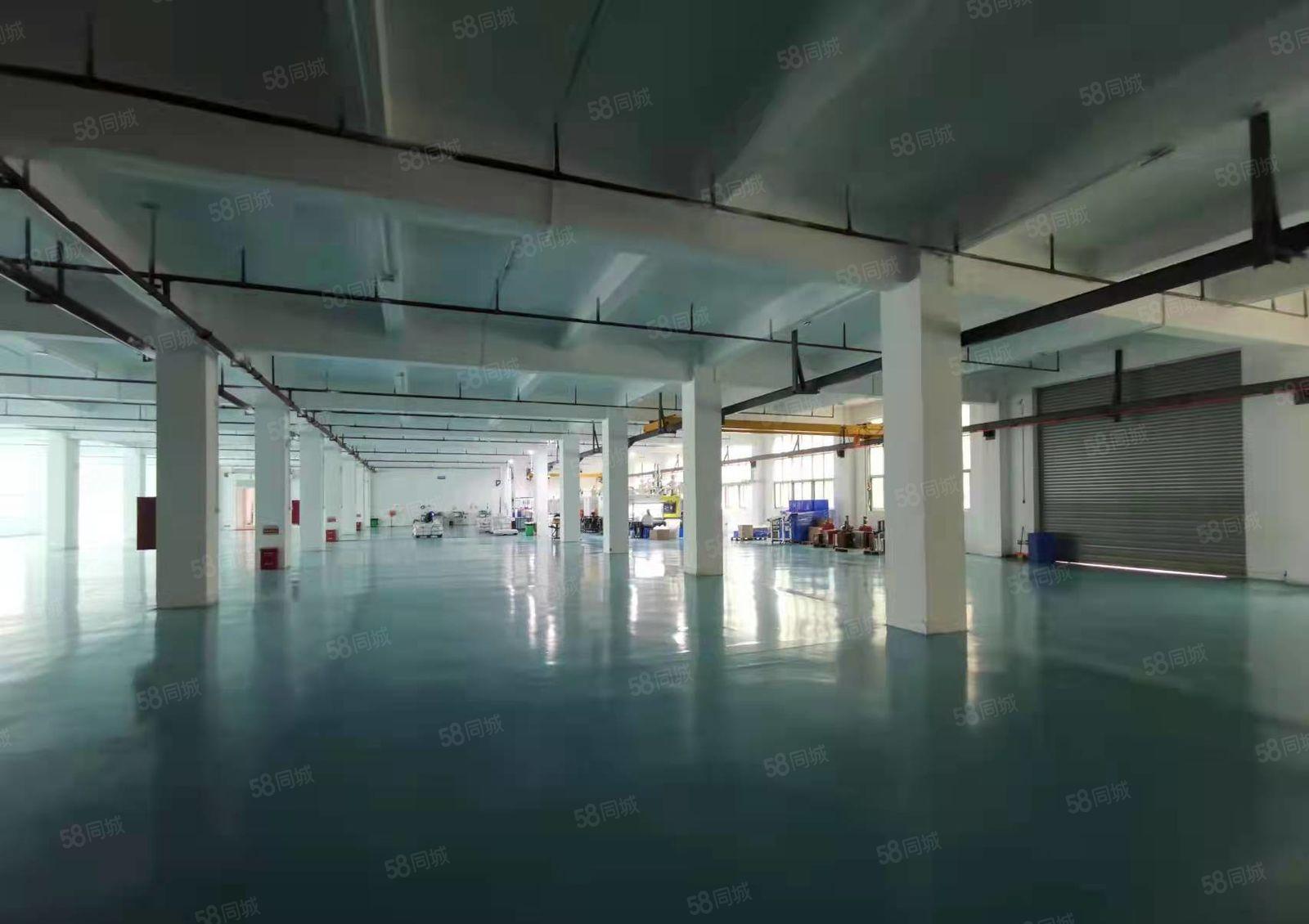 公明厂房出租，1楼880，3600平（带阁楼办公室）电量充足