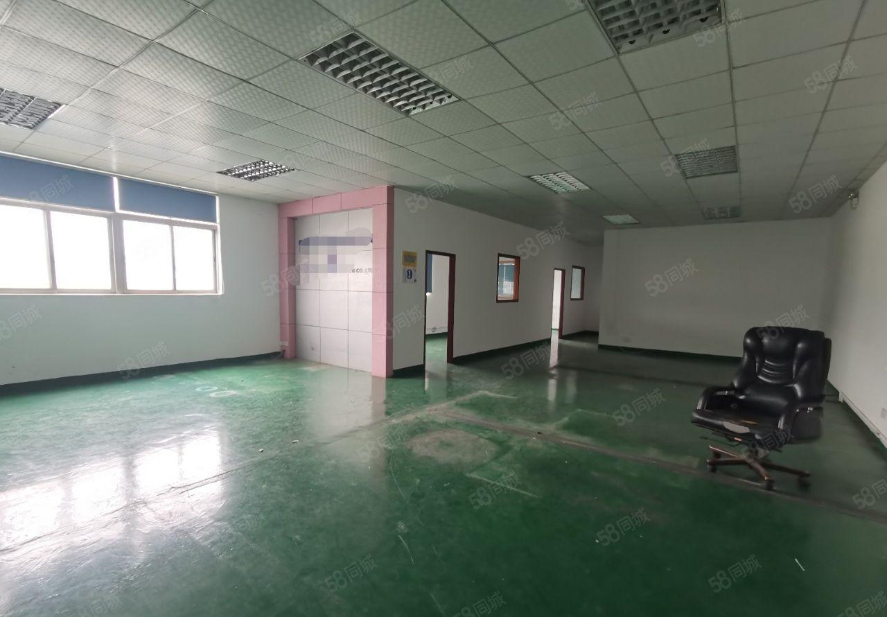 （实际面积出租）马山头楼上1000平，带牛角，现成吊机口