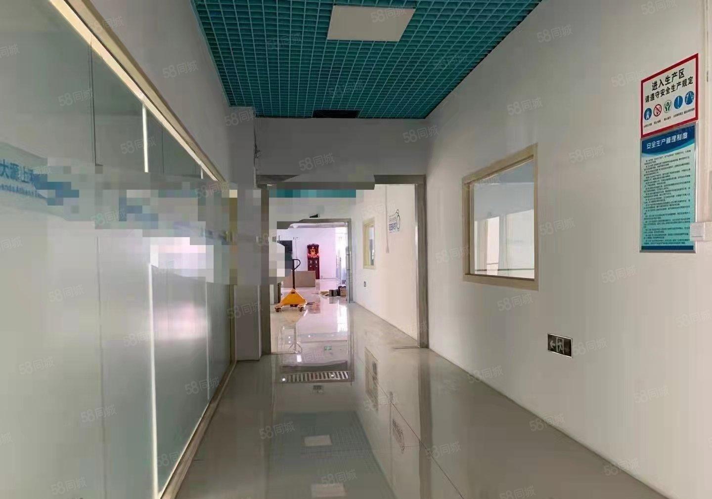 光明新出豪华装修厂房出租，1460平，园区形象好，停车位充足