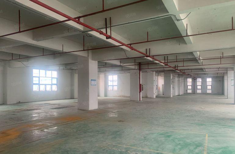 光明区公明上村原房东独门独院三层共4500平厂房出租