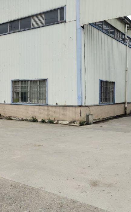 签十年!光明红本独院钢构厂房  出租10000平  滴水七米