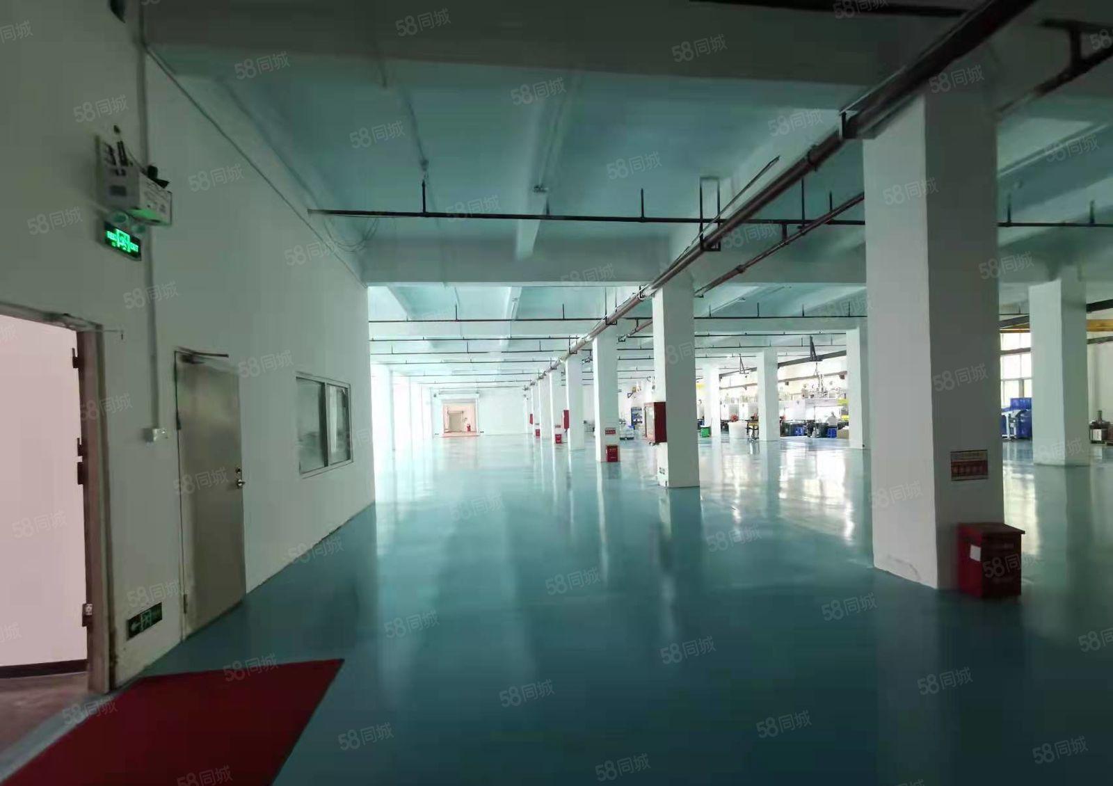 公明厂房出租，1楼880，3600平（带阁楼办公室）电量充足