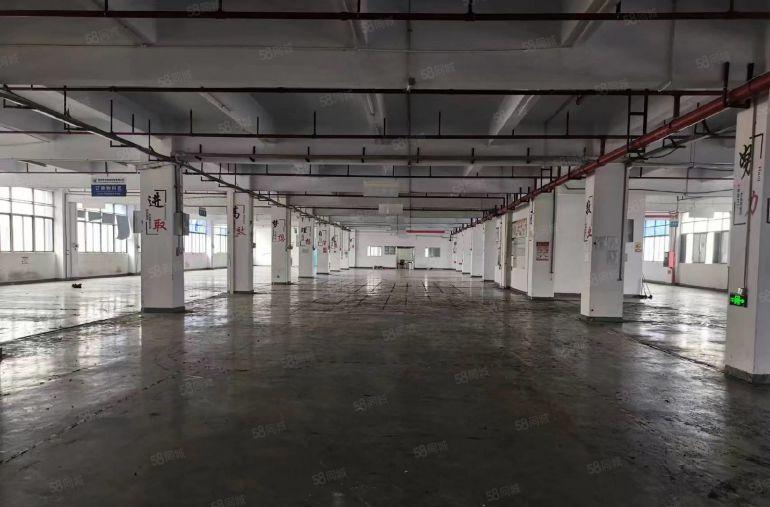 公明东坑厂房出租（2600平4米CNC，设备，注塑，电子）