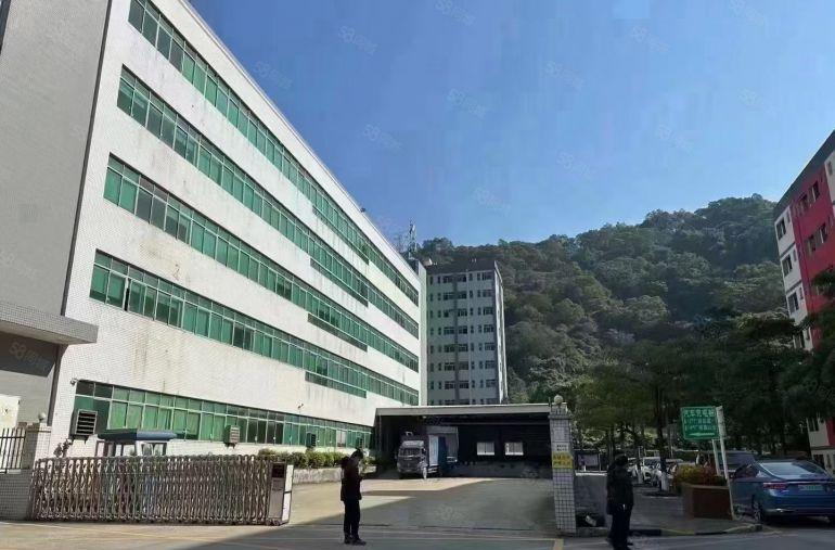 光明田寮大型园区新出精装修无尘车间厂房800平方招租出租