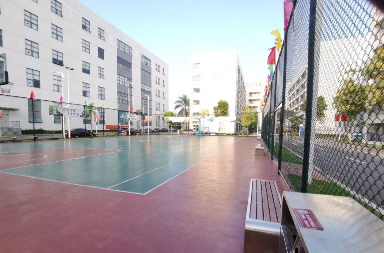 光明工业园区500平方至10000平方精装修办公物流厂房出租