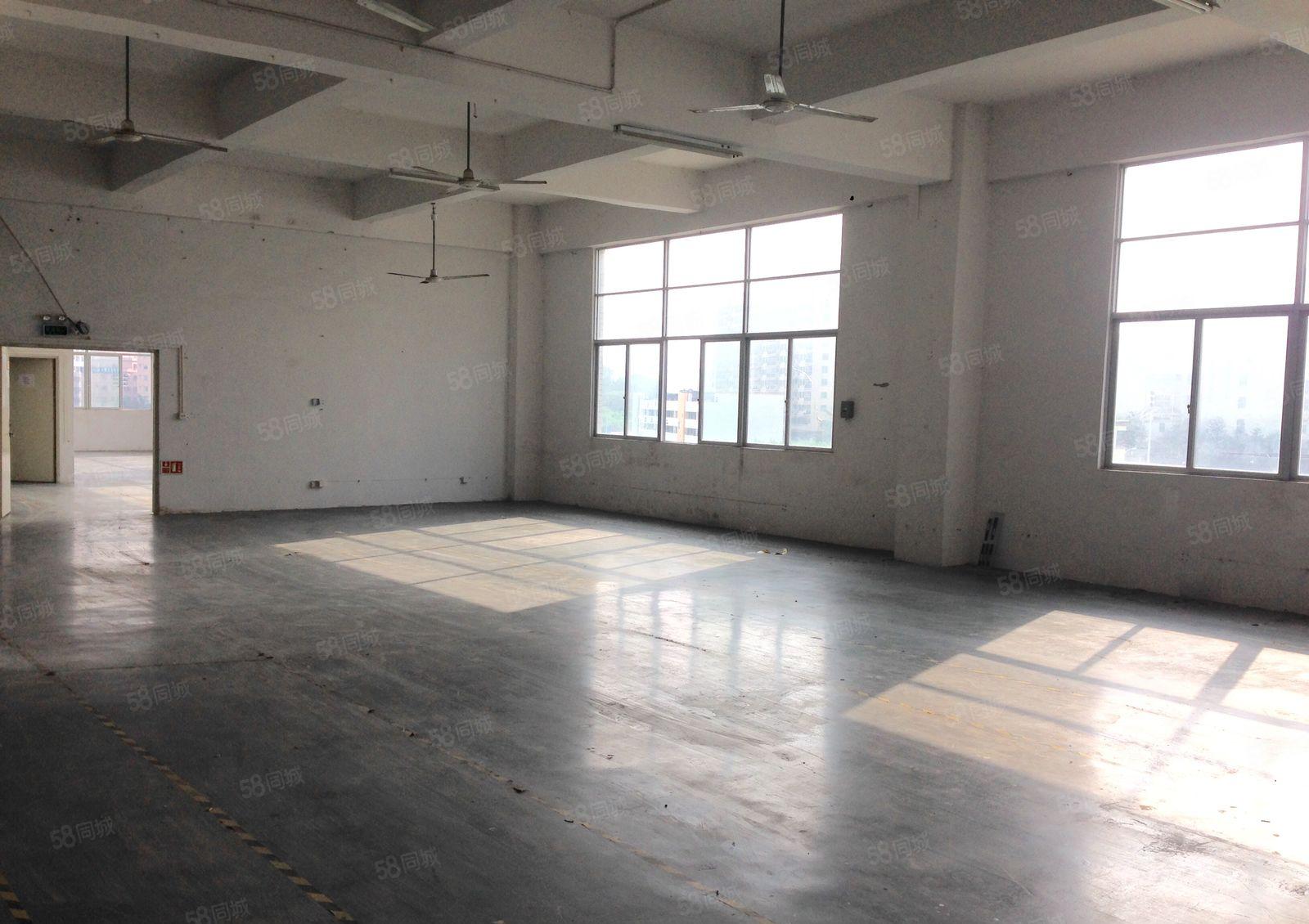 公明楼村1000平米工业厂房业主直租，价格可面谈