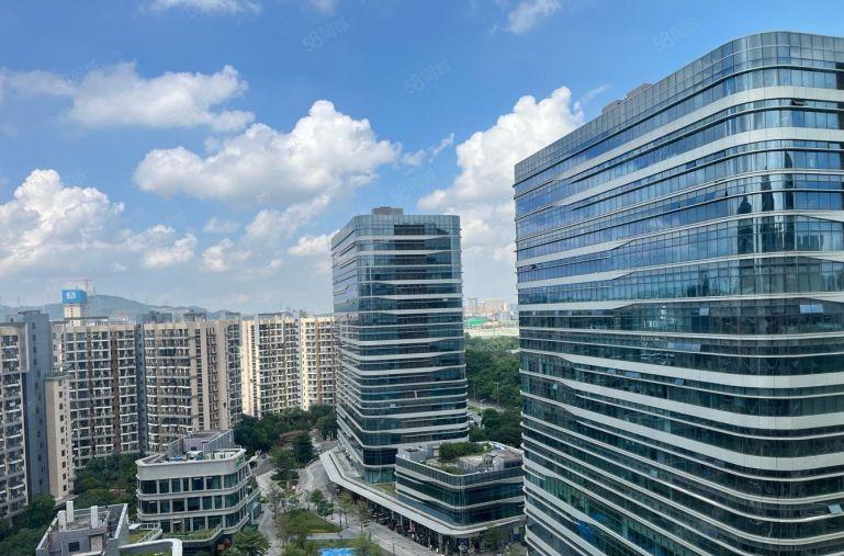 36万红本高补贴高新产业园区，甲级写字楼研发办公楼和商业