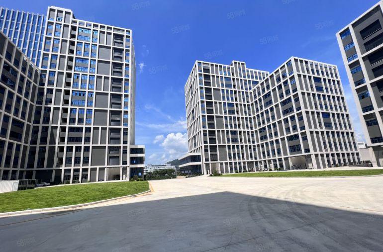 光明红本厂房出租200平起高薪补贴高达20元平免租期6个月