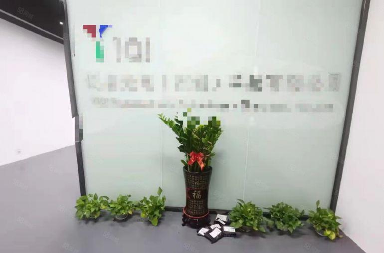 光明公明塘家厂房（390平是做办公贸易，电商，仓库的）