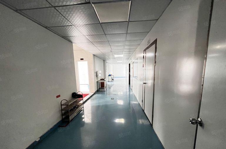 光明地铁口甲子塘原房东 2000平厂房出租 无尘车间行业不限