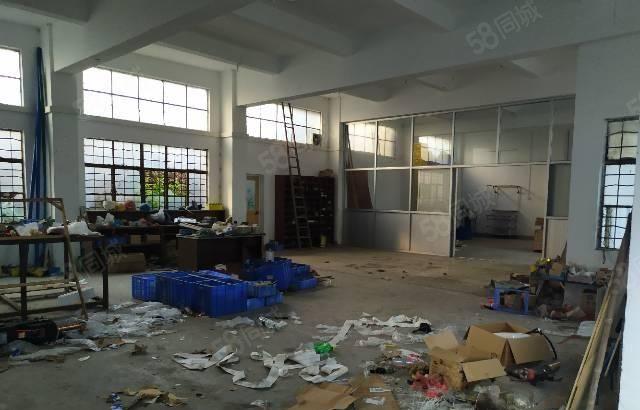 公明一楼厂房出租，(300平一1500平25元）起租