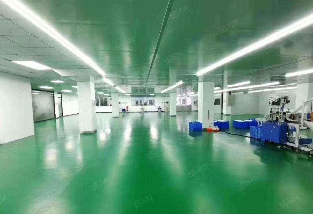 公明田寮松白路时光工业园2380平带无尘车间厂房出租无转让费
