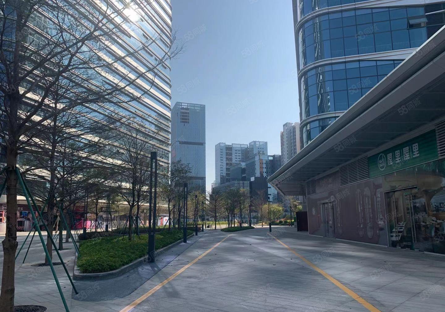 光明全新红本厂房精装200平到3000平电商直播办公厂房出租