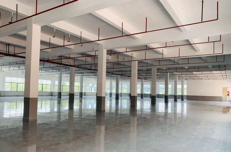 甲子塘26元光明厂房出租6380平原房东红本公摊小空地大