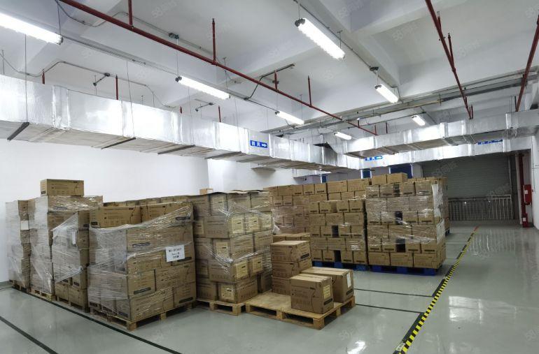 300万装修免费送带十万级无尘车间拎包入驻田寮3280平米