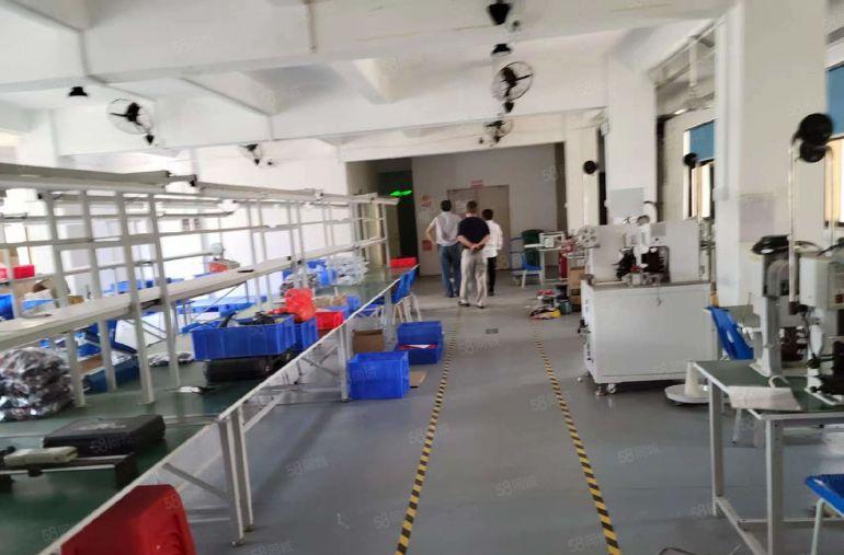 公明东坑经典小厂房推荐400适合做加工，仓库，电子等各种行业