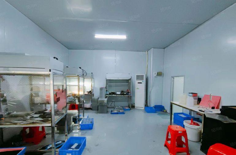 公明光侨路旁无尘车间厂房出租（1310平，原房东面积实在）