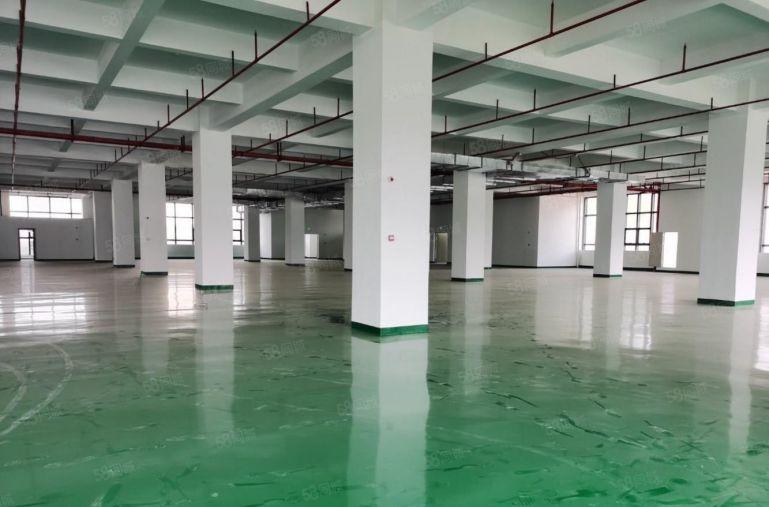 光明公明田寮原房东厂房出租5000平可分租1000平500平